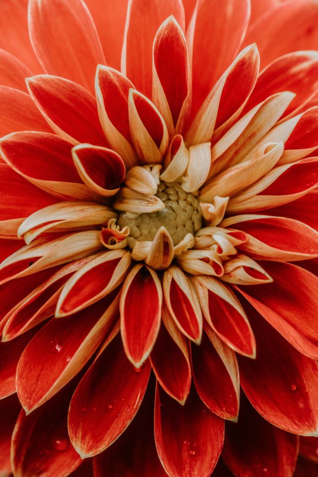 annie-spratt-O6y8KakJo8c-unsplash